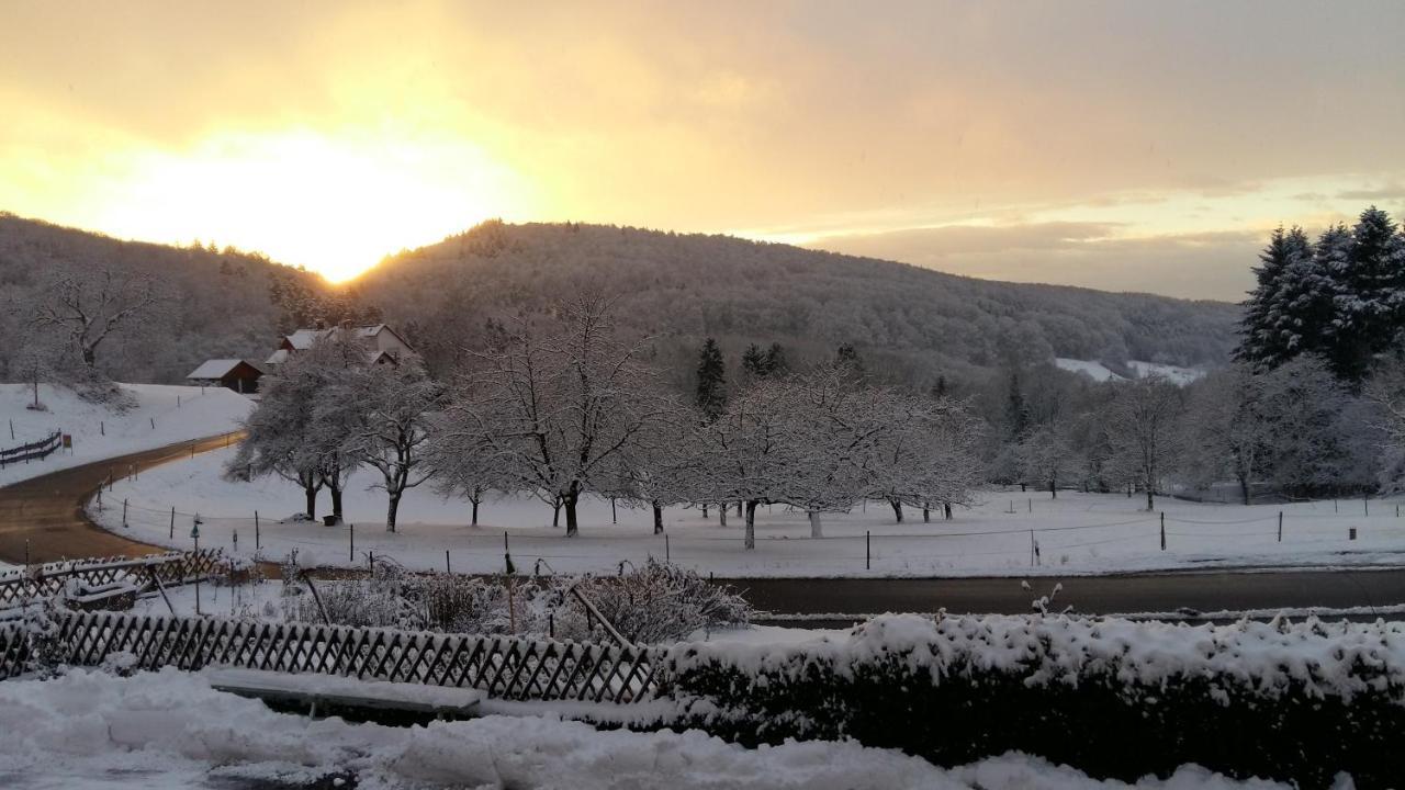 Landgasthof Gruener Baum バーデンヴァイラー エクステリア 写真