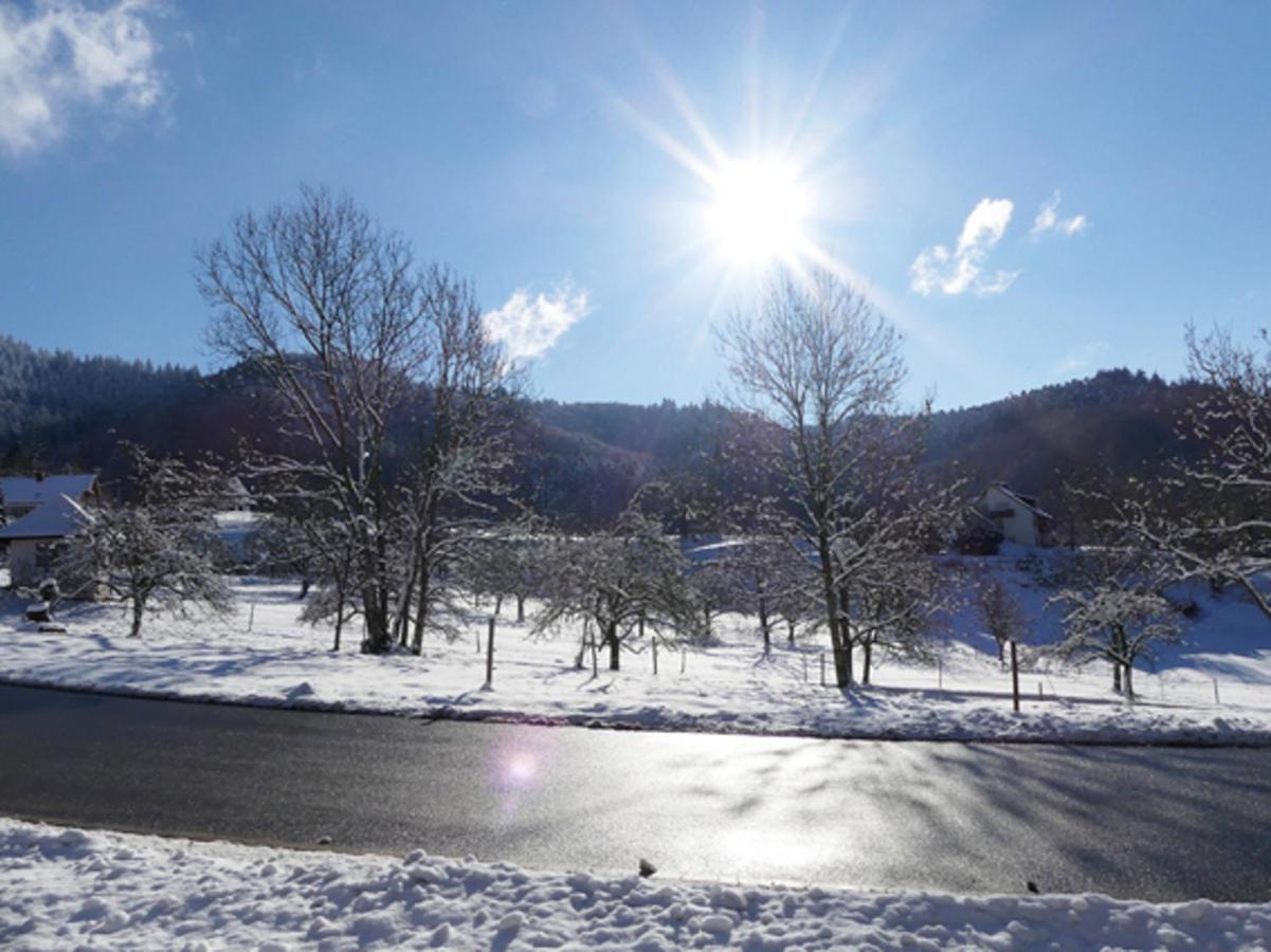 Landgasthof Gruener Baum バーデンヴァイラー エクステリア 写真